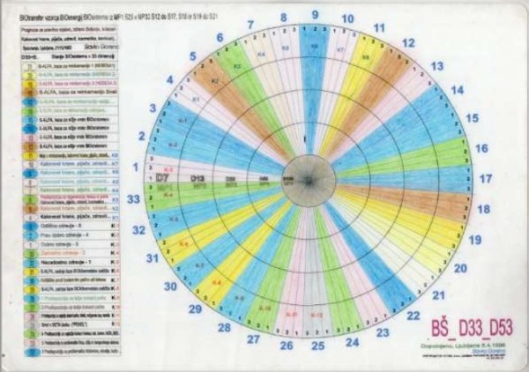 BS D33 D53