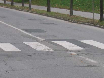PTUJ Potrčeva cesta