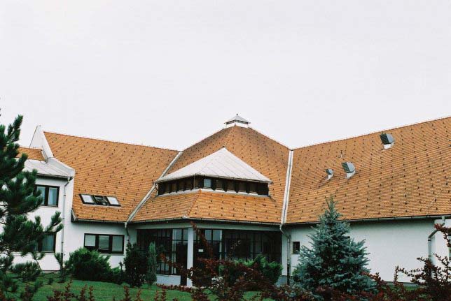 PTUJ Dornava, dom za ljudi s posebnimi potrebami 1